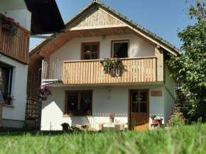 Apartments Vidic